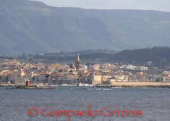 Forestazione urbana: Alghero investe sull’ambiente