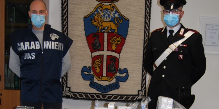 Operazione contro il traffico di sostanze dopanti e anabolizzanti dei N.A.S. di Cagliari, 2 arresti e 5 denunce a piede libero