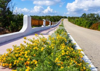 Il Consorzio Costa Smeralda continua a lavorare per raggiungere gli obiettivi del piano strategico quinquennale