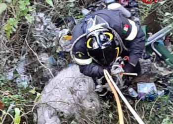 Ittiri. Una pecora cade in un crepaccio, la salvano i vigili del fuoco