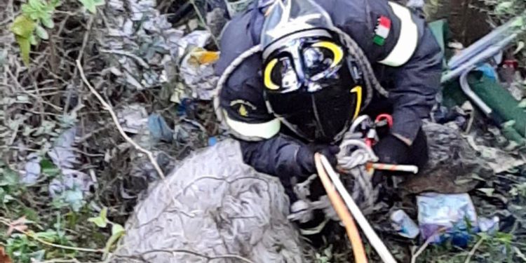 Ittiri. Una pecora cade in un crepaccio, la salvano i vigili del fuoco