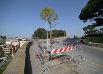 Cagliari: sono iniziati i lavori di messa a dimora di dieci pini d’Aleppo davanti all’ex carcere di Buoncammino