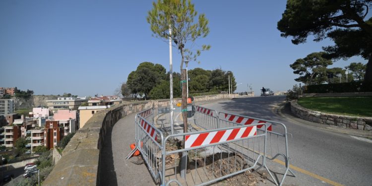 Cagliari: sono iniziati i lavori di messa a dimora di dieci pini d’Aleppo davanti all’ex carcere di Buoncammino
