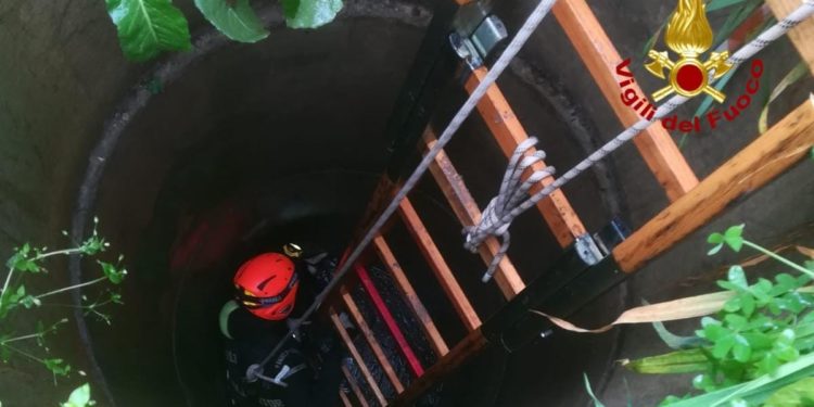 Squadre dello Speleo alpino fluviale e sommozzatori dei vigili del fuoco sono intervenuti a Villasor per recuperare due cani caduti in un pozzo