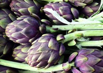 Campagna Amica dedica una giornata al carciofo