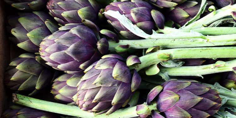 Campagna Amica dedica una giornata al carciofo