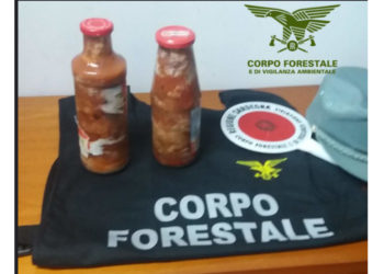 Operazione del Corpo forestale per il controllo sul prelievo e la commercializzazione dei ricci di mare e la polpa di ricci