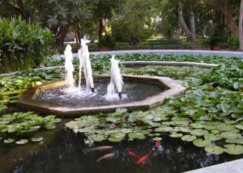 Cagliari: l’Università si colloca la terzo posto per la ricerca sulla biodiversità vegetale