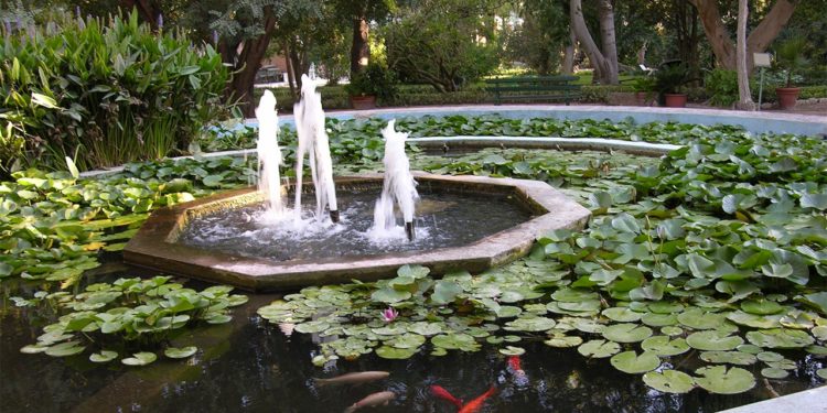 Cagliari: l’Università si colloca la terzo posto per la ricerca sulla biodiversità vegetale