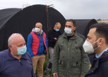 Sestu: sopralluogo dei leghisti Andrea Piras ed Antonio Manca nelle aziende agricole colpite dal maltempo