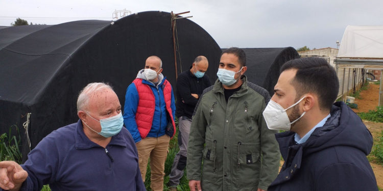 Sestu: sopralluogo dei leghisti Andrea Piras ed Antonio Manca nelle aziende agricole colpite dal maltempo