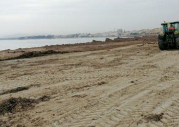 Alghero, rimozione della posidonia: sono iniziati i lavori