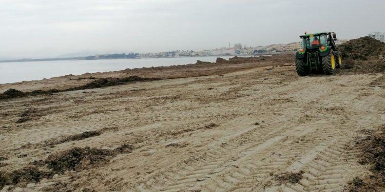 Alghero, rimozione della posidonia: sono iniziati i lavori