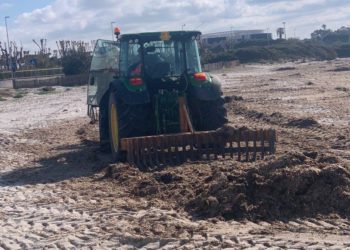 Alghero: parte la rimozione della posidonia