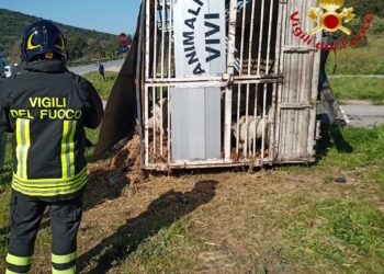 Oniferi: tamponamento fra due veicoli sulla 129, sul posto i vigili del fuoco