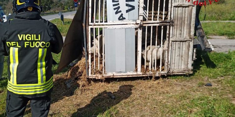 Oniferi: tamponamento fra due veicoli sulla 129, sul posto i vigili del fuoco