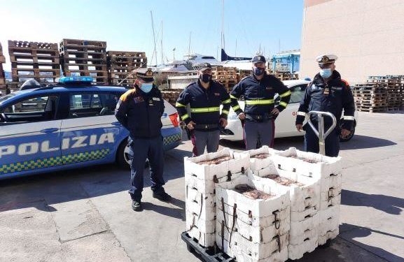 Olbia. Pesca abusiva di ricci e prodotti ittici, sanzionata un’azienda