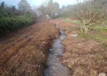 Sassari: proseguono i lavori di pulizia degli alvei dei fiumi