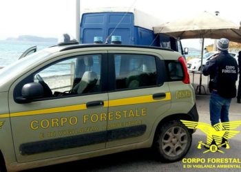 Antibracconaggio: Corpo Forestale e Carabinieri in azione a Villasimius, Capoterra e Gutturu Mannu