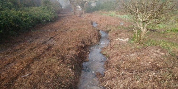 Sassari: proseguono i lavori di pulizia degli alvei dei fiumi