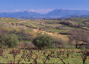 Gal Nuorese Baronia: al via il bando “Piccoli interventi di adeguamento di imprese artigiane e commerciali”