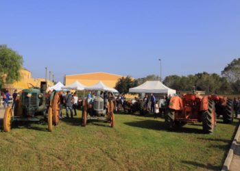 “Polenta della Sagra di Arborea – Io sono Sarda”: incontro tra Pro loco e Cooperativa produttori per creare una filiera produttiva