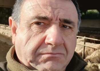 Campagna Amica: domani si celebra “L’Agnello Day”