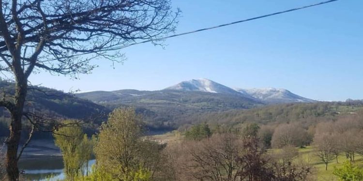 Fonni punta sull’innovazione e sulla ricerca