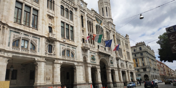 Cagliari: messi in sicurezza ventitré esemplari di Jacaranda in Largo Carlo Felice