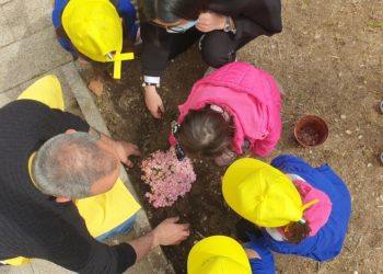 Coldiretti Nuoro-Ogliastra: piante e fiori per festeggiare la primavera