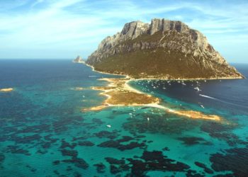 In poco di una settimana, sono già 5 le tartarughe recuperate nelle acque dell’Area marina protetta di Tavolara – Punta Coda Cavallo