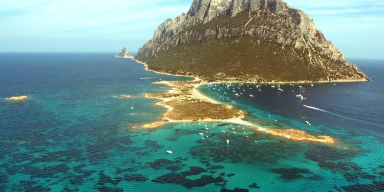 In poco di una settimana, sono già 5 le tartarughe recuperate nelle acque dell’Area marina protetta di Tavolara – Punta Coda Cavallo