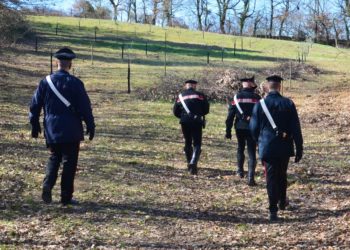 Un imprenditore agricolo di San Sperate è stato sanzionato con 21.600 euro per aver impiegato in nero due servi pastori di 64 e 66 anni