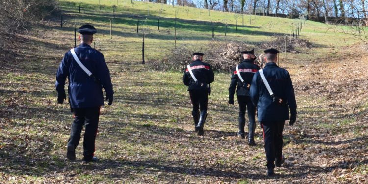 Un imprenditore agricolo di San Sperate è stato sanzionato con 21.600 euro per aver impiegato in nero due servi pastori di 64 e 66 anni