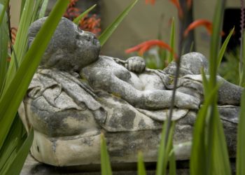 Cagliari, ecco le nuove tariffe per i servizi cimiteriali