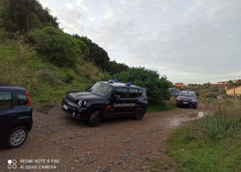 I carabinieri di Iglesias, ad Oliena, hanno arrestato un imprenditore agricolo 21enne per il reato di coltivazione di marijuana ai fini di spaccio