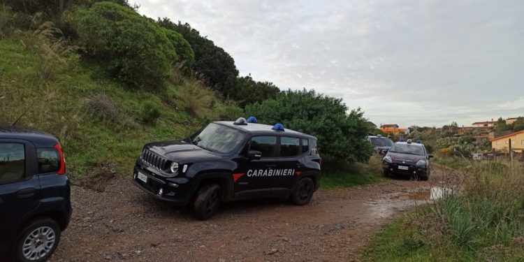 I carabinieri di Iglesias, ad Oliena, hanno arrestato un imprenditore agricolo 21enne per il reato di coltivazione di marijuana ai fini di spaccio