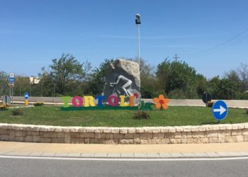 Tortolì: iniziati i lavori di potatura degli alberi nel giardino della scuola di via Fleming
