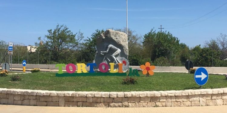 Tortolì: iniziati i lavori di potatura degli alberi nel giardino della scuola di via Fleming