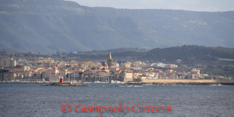 Alghero: 89mila dalla Regione per la pineta di Maria Pia