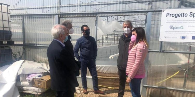 Alga spirulina. Anita Pili (assessora dell’Industria): «La Sardegna ad Expo Dubai: possono nascere nuove collaborazioni industriali»