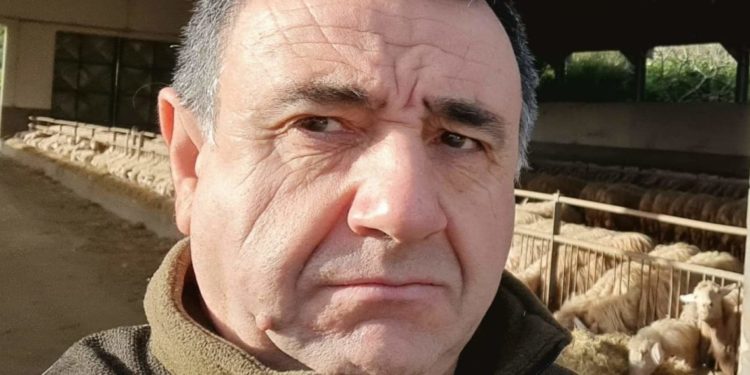 Consorzi Agnelli Igp: «Per Pasqua un agnello su 2 è di origine estera»