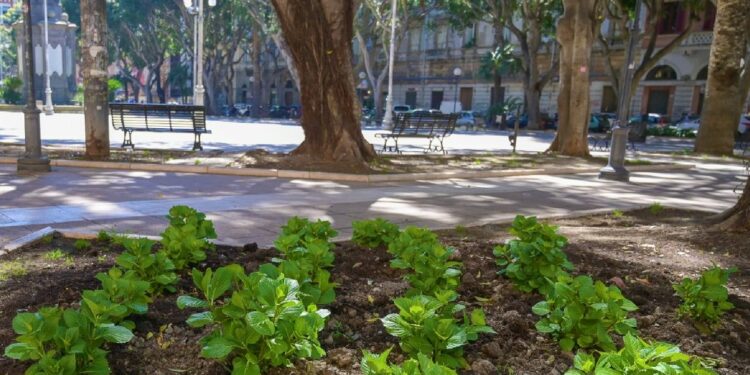 Cagliari diventa sempre più verde