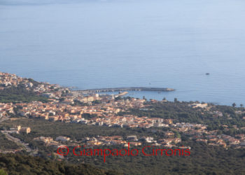 I Circoli del Pd e dei Giovani Democratici di Dorgali e Calagonone solidali con artigiani, commercianti e autonomi in crisi per il Covid-19