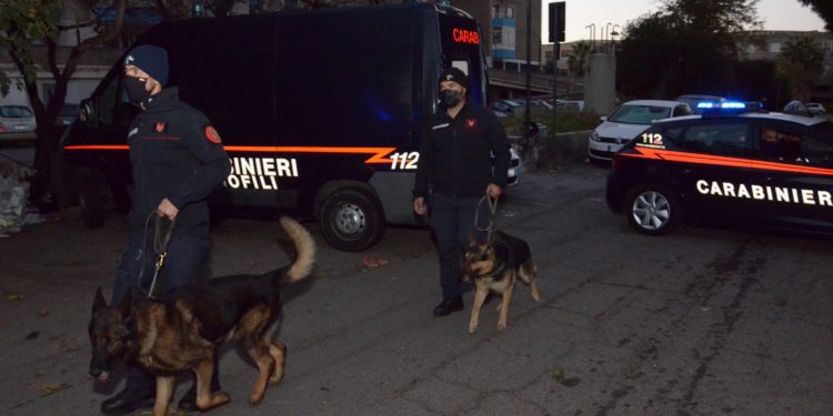 Operazione “DAMA” dei carabinieri: sequestrati a 4 persone beni per un valore complessivo di circa 1 milione di euro