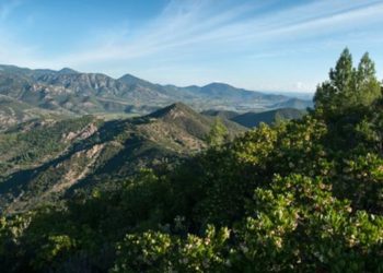 “Divina Sardegna”: i presìdi territoriali sardi del Fai celebra la figura di Dante Alighieri