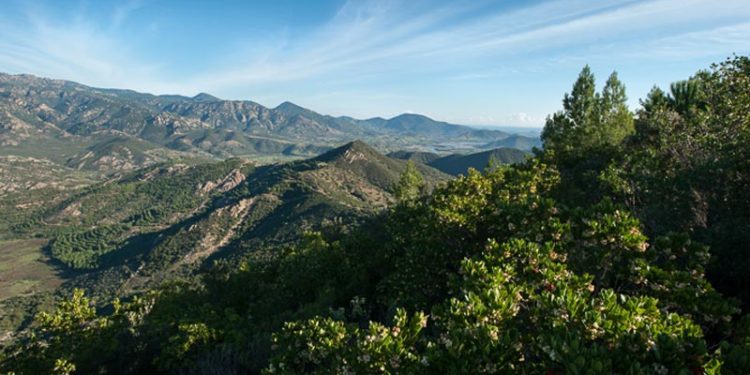 “Divina Sardegna”: i presìdi territoriali sardi del Fai celebra la figura di Dante Alighieri