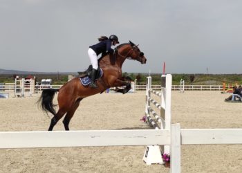 Abbasanta: il trofeo dei Nuraghi apre a Tanca Regia la stagione di salto ad ostacoli