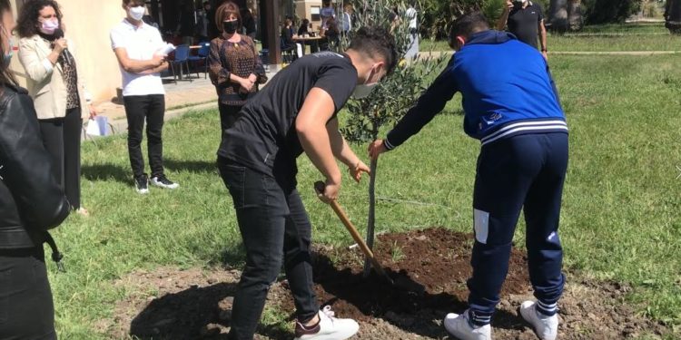 Oristano: un ulivo per le vittime dell’amianto