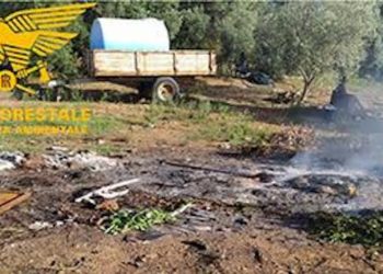 “Fumo Nero”: il bilancio dell’operazione del Corpo forestale di Cagliari contro le discariche abusive